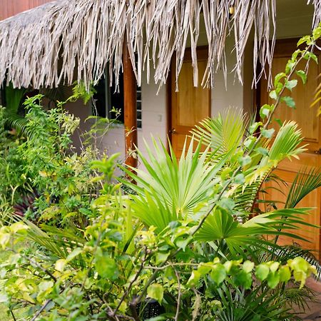 Manaeva Lodge 파페에테 외부 사진